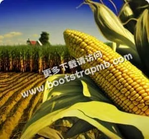 安全可靠的技术保障，守护您的投资 - 爱体育1